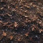 80a0509856b09ebef71ad441fbf49c8b